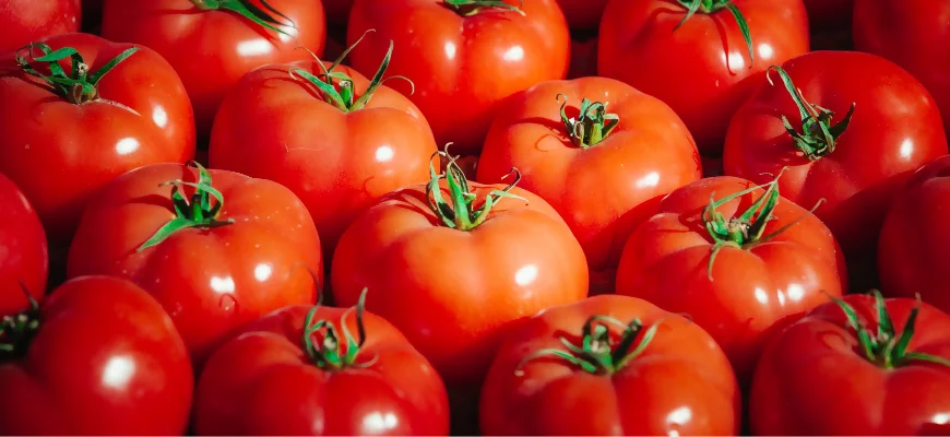 Лектины в продуктах помидорах