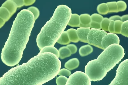 Микробиота подмышек вызывает запах пота